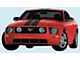 22-Inch Lemans Racing Stripes; White (05-09 Mustang)