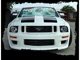 California Dream Front Bumper; Unpainted (05-09 Mustang GT, V6)