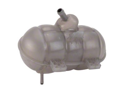 Coolant Reservoir (15-21 Mustang)