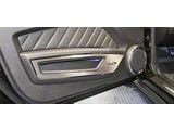 Door Guards Satin; With 5.0 Lettering; Polished (10-14 Mustang)