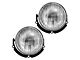 Fog Lights; Clear (99-01 Mustang Cobra)