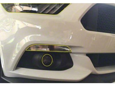 Front Lens Paint Protection Kit (15-17 Mustang, Excluding GT350)