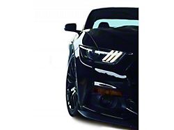 Front and Rear Lens Vinyl Tint Kit with Amber Corner Blackouts (15-20 Mustang GT350)