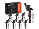 Ignition Coil Set with Iridium Spark Plugs; Black (Late 08-10 Mustang GT)