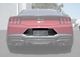 License Plate Frame Backing; Carbon Fiber (2024 Mustang)