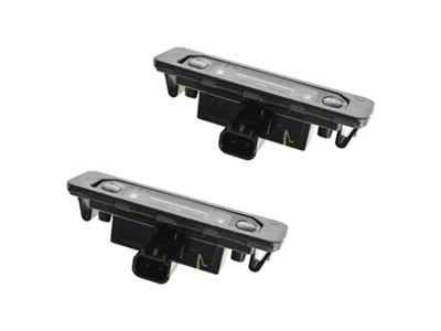 License Plate Lights (10-14 Mustang)