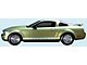 Lower Body Side Stripe Kit; Black (05-09 Mustang)