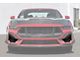 Lower Side Grille Inserts; Carbon Fiber (24-25 Mustang GT)