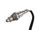 O2 Oxygen Sensor; Downstream (15-17 Mustang EcoBoost)