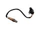 O2 Oxygen Sensor; Upstream (11-14 Mustang GT, GT500)