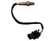 O2 Oxygen Sensor; Upstream (11-14 Mustang GT, GT500)