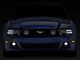 OE Style Replacement Fog Lights; Clear (13-14 Mustang GT, V6)