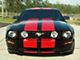 Racing Stripes; Black (05-09 Mustang GT)