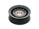 Serpentine Belt Idler Pulley (05-10 Mustang)