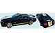 Shelby GT-H Style Lemans Racing Stripes; Hertz Gold (05-09 Mustang)