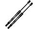 Trunk Lift Support Struts (05-14- Mustang)