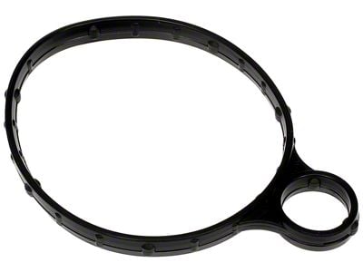 Vacuum Pump Gasket (15-20 Mustang EcoBoost)