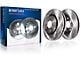 Vented Rotors; Rear Pair (05-14 Mustang, Excluding 13-14 GT500)