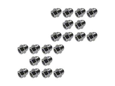 Wheel Lugs; 20-Pieces (00-09 Mustang)