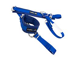 NRG Innovations SFI 3.3 Arm Restraint Harness; Blue (Universal; Some Adaptation May Be Required)