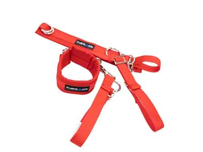 NRG Innovations SFI 3.3 Arm Restraint Harness; Red (Universal; Some Adaptation May Be Required)