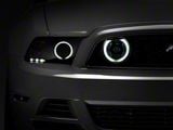 Raxiom CCFL Halo Fog Lights; Chrome (13-14 Mustang GT)