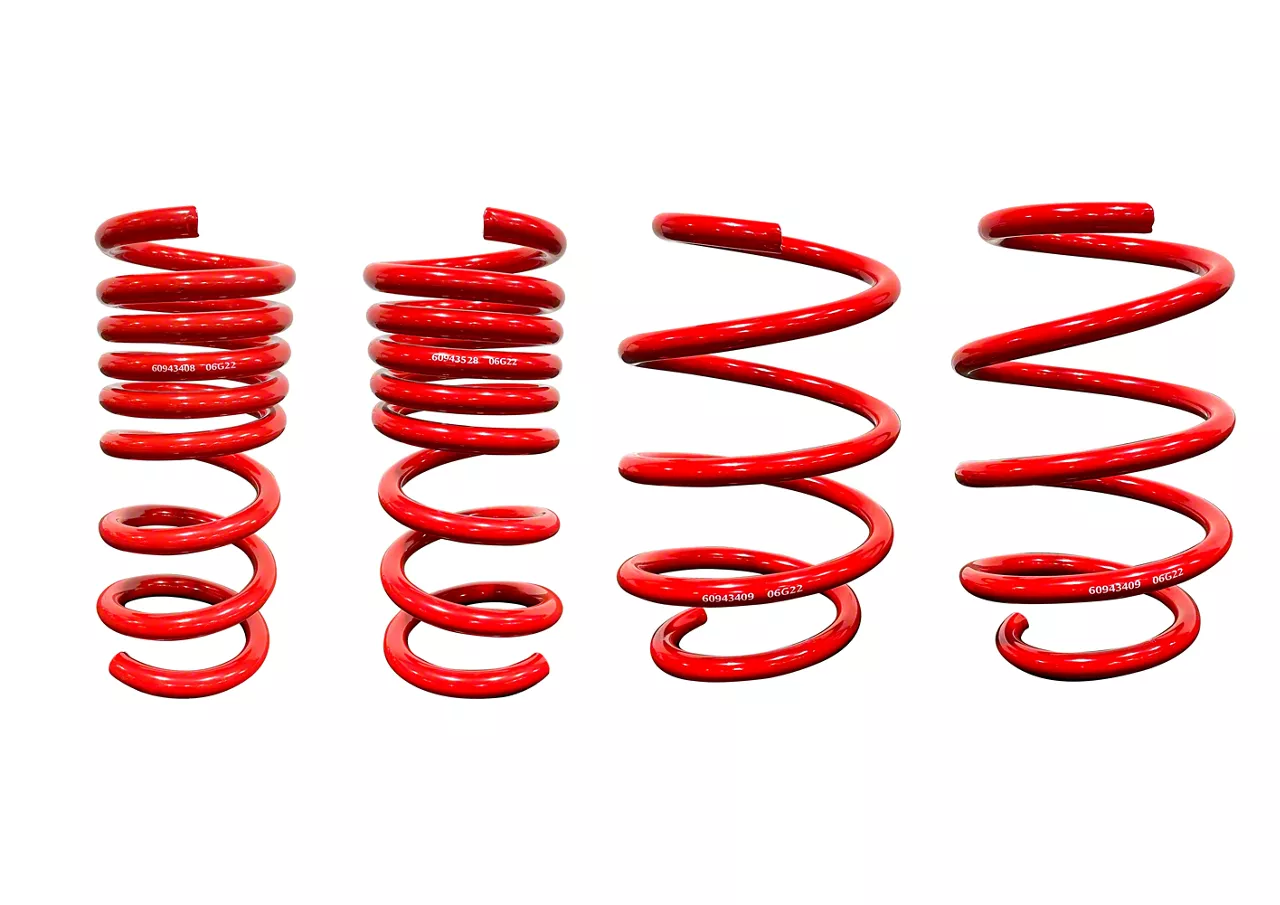 Roush Mustang MagneRide Lowering Springs 422330 (18-25 Mustang w ...