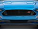 Roush Upper Grille (18-23 Mustang GT, EcoBoost)