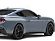 SEC10 Arrow Stripes; Silver (2024 Mustang Fastback)