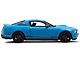 SEC10 Flag Quarter Window Decals; Etched (10-14 Mustang Coupe)