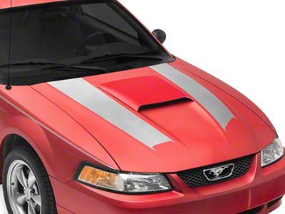 SEC10 Hood Stripes; Silver (99-04 Mustang)