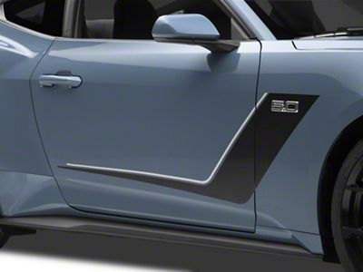 SEC10 Side Stripes; Black and Silver (2024 Mustang)