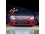 Sick Diesel LED Grille Lights with Smoked Lens; Black Frame (15-23 Charger GT, Scat Pack, SRT)