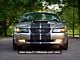 SpeedForm GT500 Style Stripes; Matte Black; 10-Inch (99-04 Mustang)