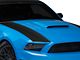 SEC10 Outer Hood Stripes; Matte Black (13-14 Mustang)