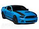 SEC10 Outer Hood Stripes; Matte Black (13-14 Mustang)