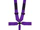 Status: 5-Point Camlock Harness; Purple (Universal; Some Adaptation May Be Required)