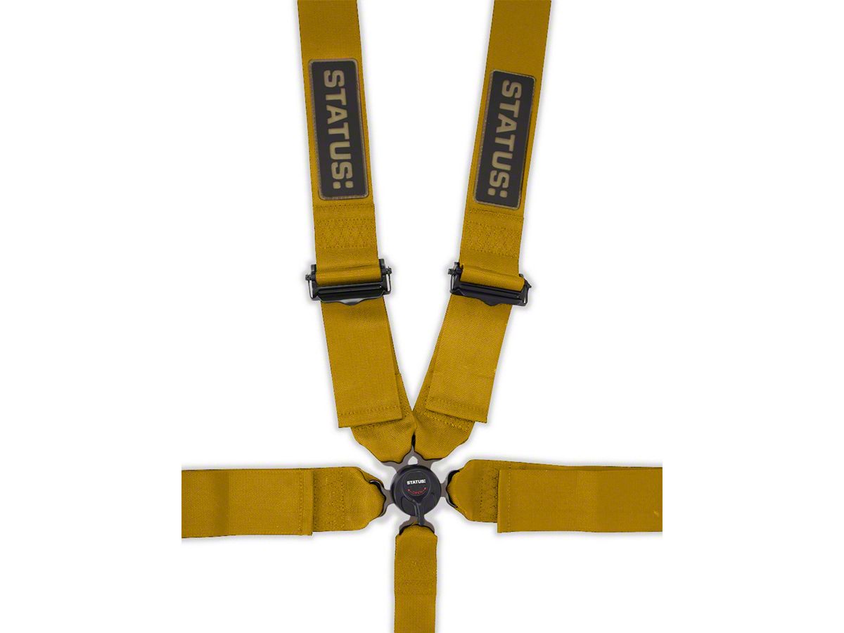 Status: Mach-E 5-Point Camlock Harness; Gold SRSB5.GO (Universal; Some  Adaptation May Be Required) - Free Shipping