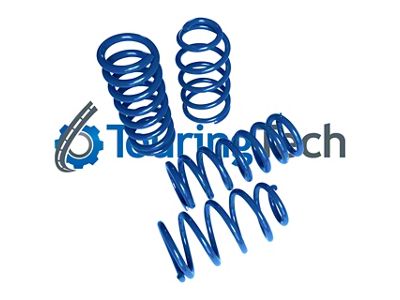 Touring Tech Performance Series Lowering Springs; Blue (09-23 RWD Challenger w/o Nivomat & Self-Leveling Suspension, Excluding SRT8 & Scatpack Widebody)