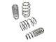 Touring Tech Performance Series Lowering Springs; Chrome (05-14 Mustang)