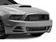 Cervini's GT500 Style Lower Grille (13-14 Mustang GT, V6)