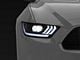 Raxiom Projector Headlights for OEM HID Bulbs; Black Housing; Clear Lens (15-17 Mustang; 18-22 Mustang GT350, GT500)