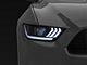 Raxiom Projector Headlights for OEM HID Bulbs; Black Housing; Clear Lens (15-17 Mustang; 18-22 Mustang GT350, GT500)