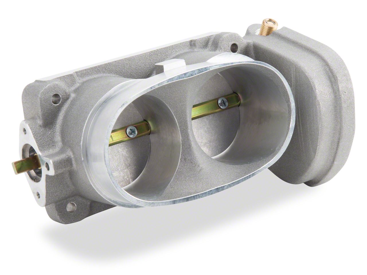 Charger Throttle Bodies